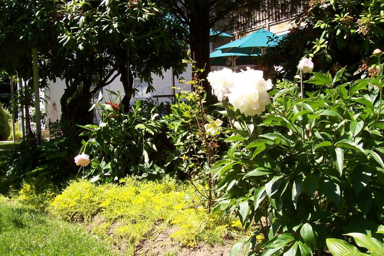 Arbor View House Bed And Breakfast East Marion Ngoại thất bức ảnh